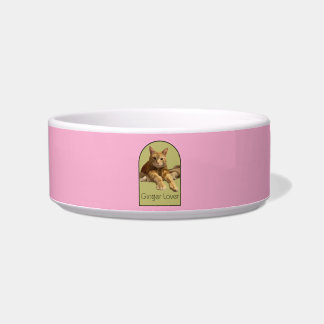 Comedero Tazón de cerámica rosa claro para mascotas amante 