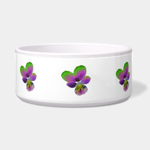 Comedero Tazón de cerdo morado y verde