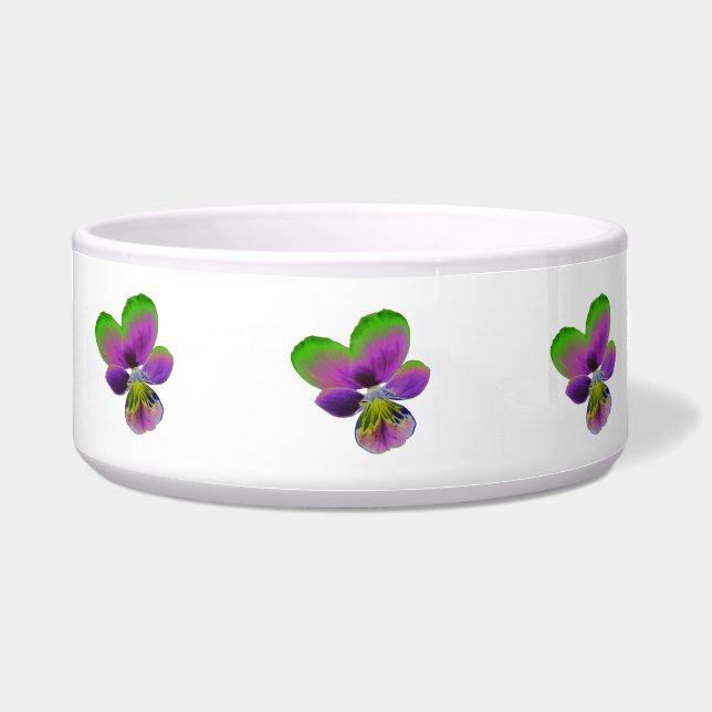 Comedero Tazón de cerdo morado y verde (Frente)