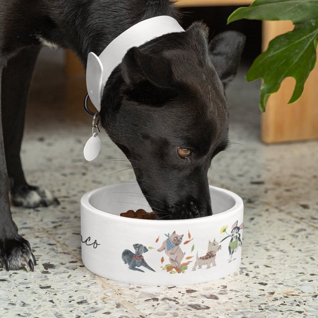 Comedero Tazón de comida para mascotas personalizado con pa (Cute dogs pet custom name bowl)