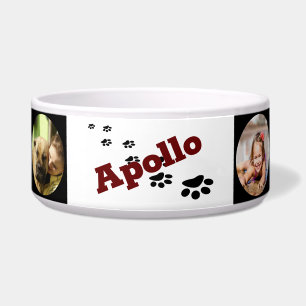 Comedero Tazón de comida para perros personalizado - HAMbWG