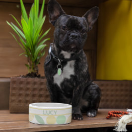 Comedero Tazón de gato/perro retro de cítricos limón/limón