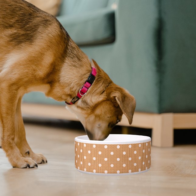 Comedero Tazón de mascota de naranja Delight (Dotty Delight Orange Pet Bowl)