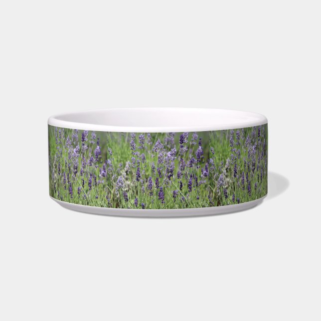 Comedero Tazón de mascotas de lavanda (Frente)