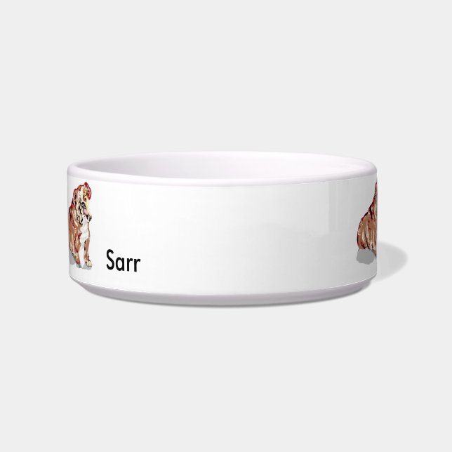 Comedero Tazón de mascotas medio / Bulldog inglés (Frente)