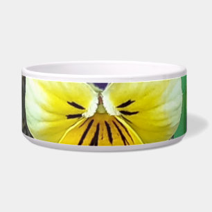 Comedero Tazón de mascotas morado y amarillo