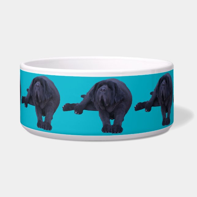 Comedero Tazón de mascotas para cualquier raza de perro más (Frente)