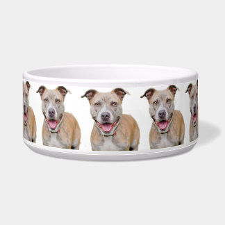 Comedero Tazón de mascotas/Pitbull
