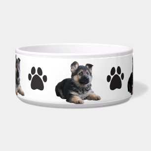 Comedero Tazón de mascotas/Shepard alemán