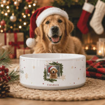 Tazón de Navidad moderno para mascotas – Foto pers