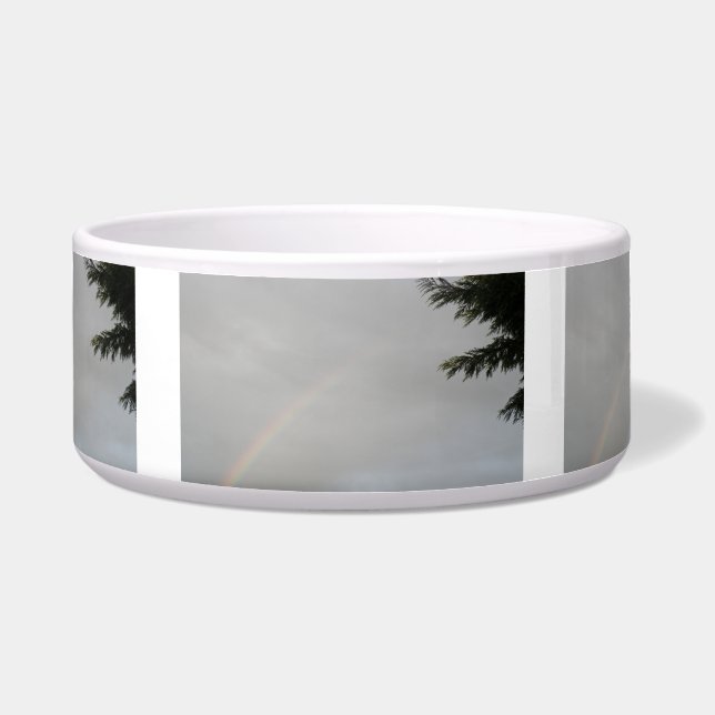 Comedero Tazón de Perro Arcoiris (Frente)