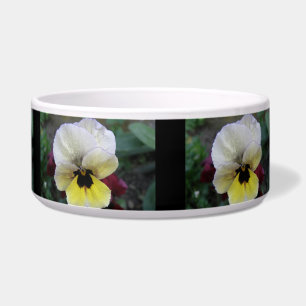 Comedero Tazón de perro blanco y amarillo Pansy