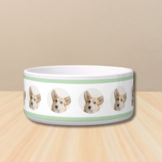 Comedero Tazón de perro con foto - Personalizado hecho con 