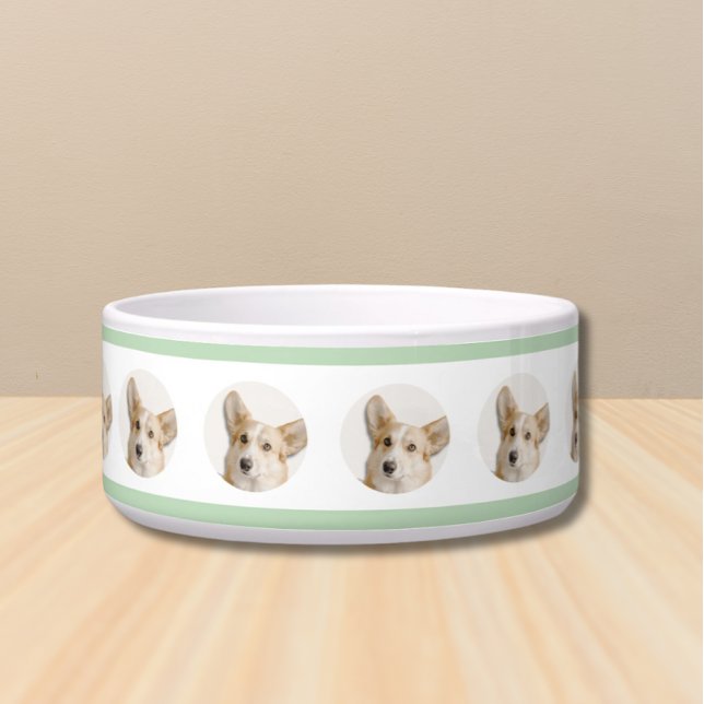 Comedero Tazón de perro con foto - Personalizado hecho con  (Dog Bowl Portrait Photo Gift)
