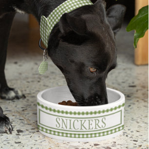 Comedero Tazón de perro con nombre personalizado en verde a