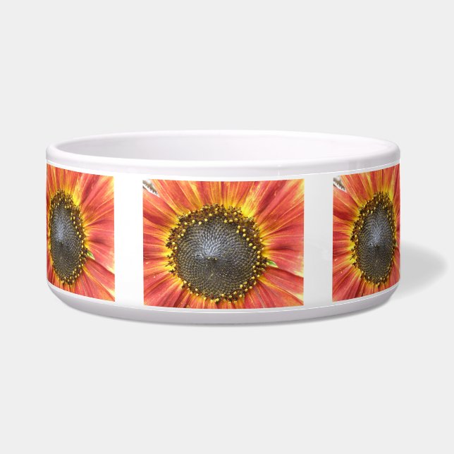 Comedero Tazón de perro de girasol rojo y amarillo (Frente)