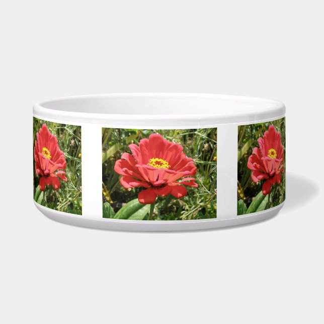 Comedero Tazón de perro de la zinnia roja (Frente)