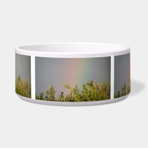 Comedero Tazón de perro del cielo arcoiris