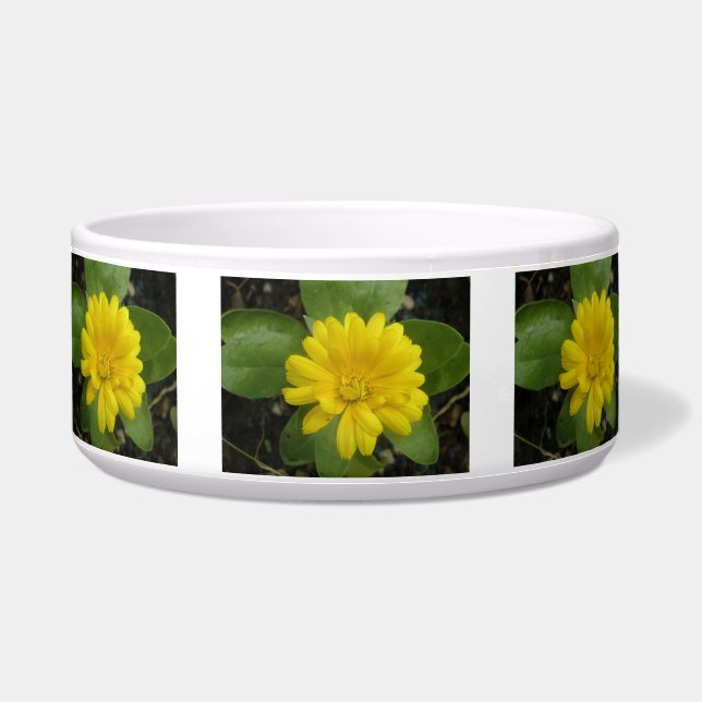 Comedero Tazón de perro Marigold amarillo brillante (Frente)