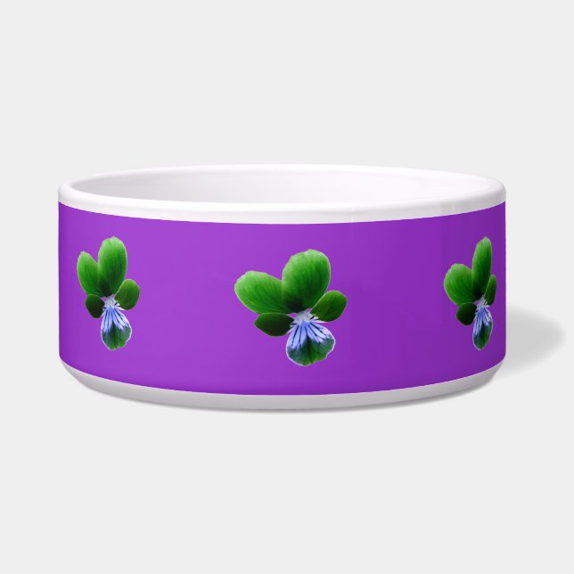 Comedero Tazón de Perro Pansy Verde (Frente)
