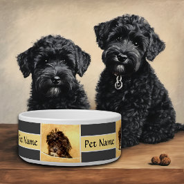 Comedero Tazón de perro personalizado de Schnoodle