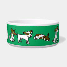 Tazón de Perro Verde Con Jack Russell Personalizad