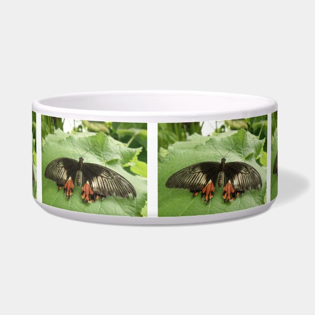 Comedero Tazón de perros de mariposa dorada y rojo negro bo (Frente)