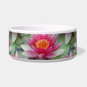 Comedero Tazón de yeso de agua rosa de Lotus