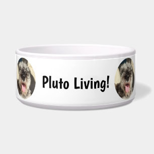 Comedero Tazón de zarpa