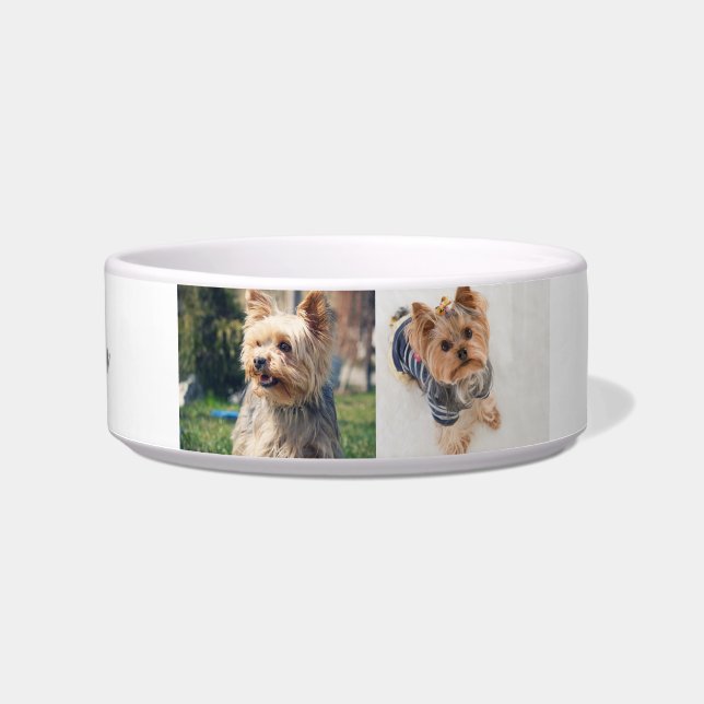 Comedero "Tazón Mediano 'Pawsitively Personalized' para Yor (Frente)