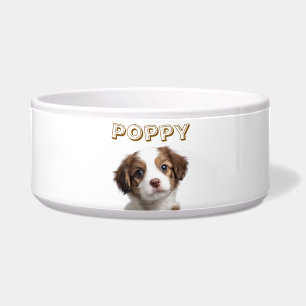 Comedero Tazón para mascotas con foto y nombre de perro per