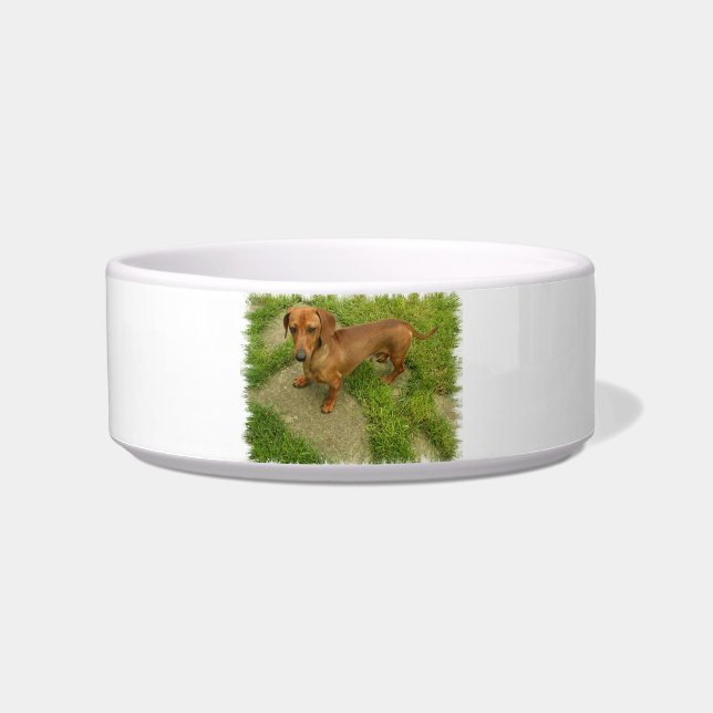 Comedero Tazón para mascotas Daschund (Frente)