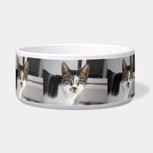 Comedero Tazón para mascotas gato