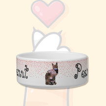 Tazón para mascotas Gato floral 2 & Corazones