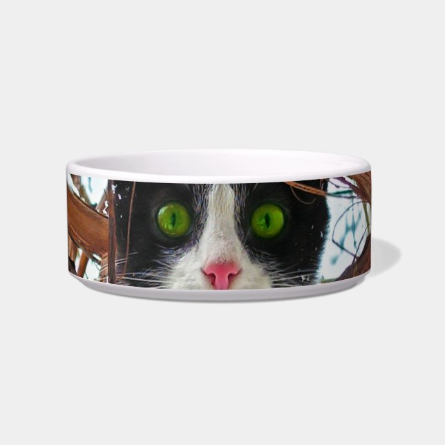 Comedero Tazón para mascotas Ojos Verdes (Frente)