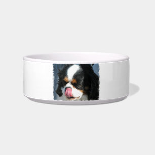 Comedero Tazón para mascotas perro spaniel