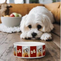 Tazón para perro Malshi con hueso granate