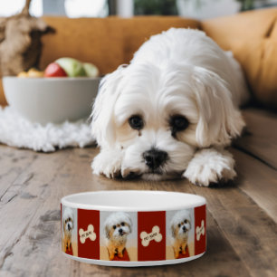 Comedero Tazón para perro Malshi con hueso granate
