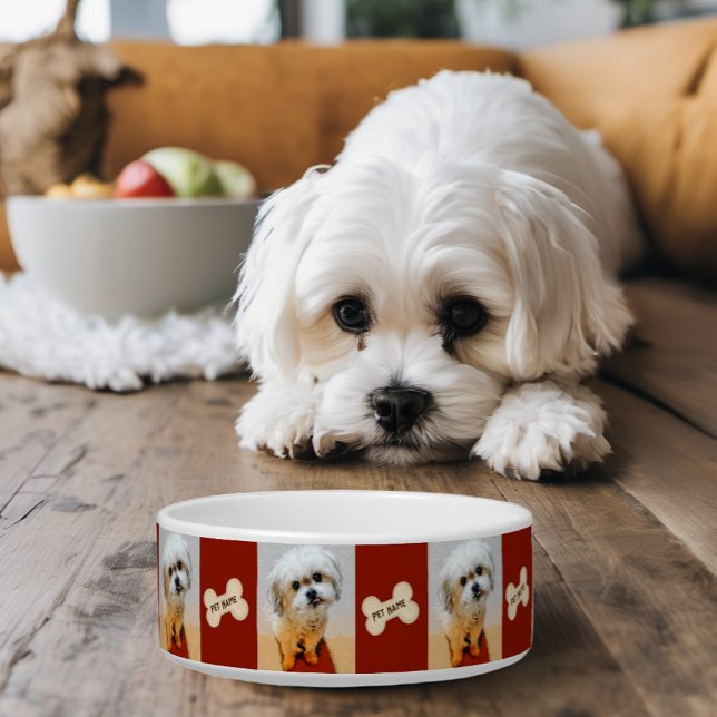 Comedero Tazón para perro Malshi con hueso granate (Doug bowl with images and personalized text.)