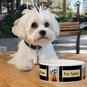 Comedero Tazón para perro negro Malshi personalizable