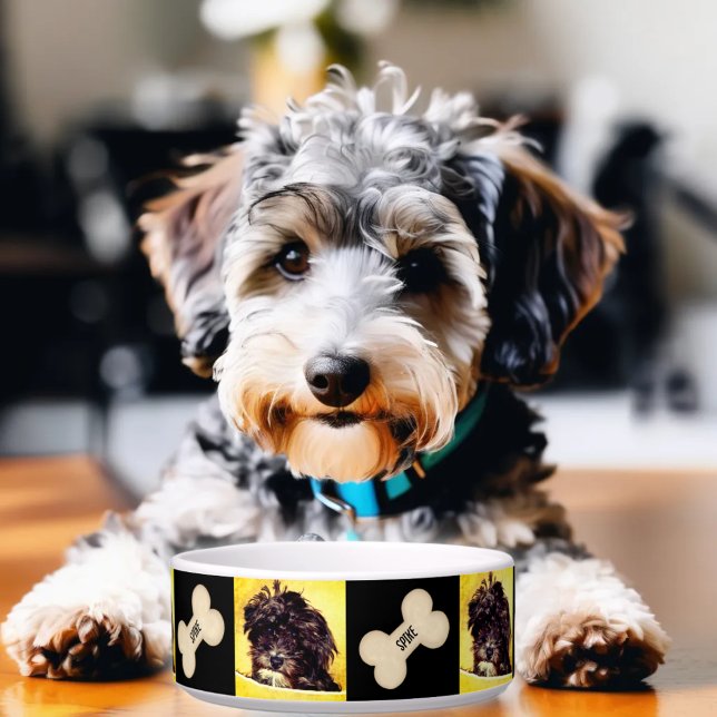 Comedero Tazón personalizado para perros medianos Schnoodle (Subido por el creador)