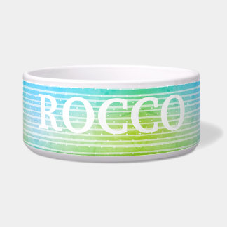 Comedero Tazón personalizado refrescante azul verde para ma