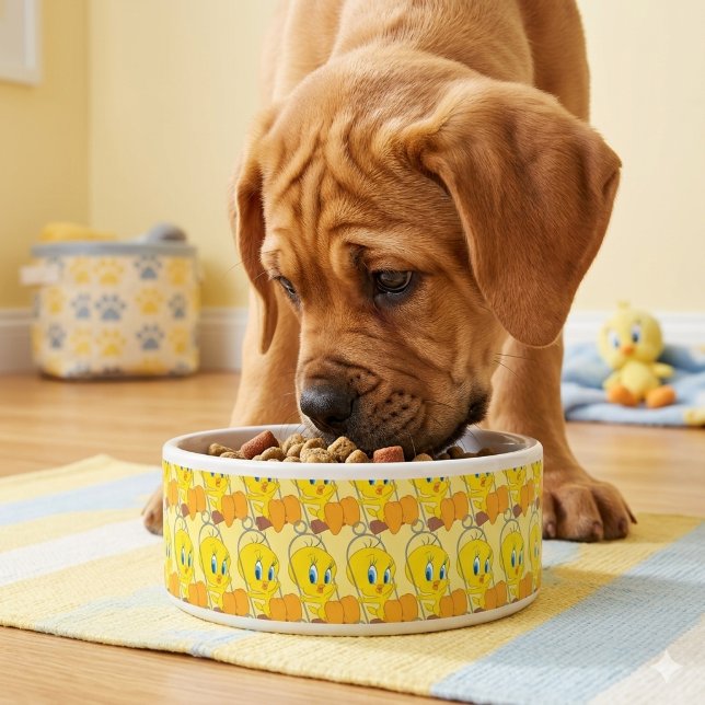 Comedero Tazón Tweety (Subido por el creador)