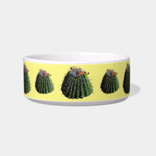 Comedero Tazones para mascotas con cactus de barril