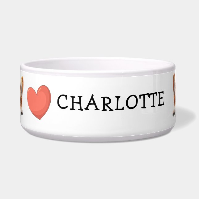 Comedero Tema personalizado de Corgi dorado indiscreto (Frente)