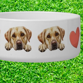 Comedero Tema personalizado de Labrador dorado curioso