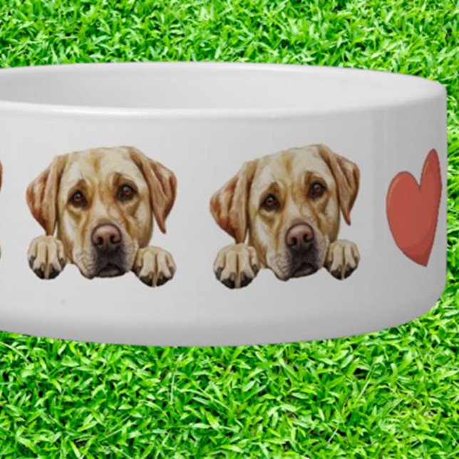 Comedero Tema personalizado de Labrador dorado curioso (Subido por el creador)