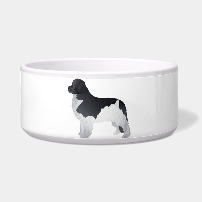 Comedero Terranova (Frente)