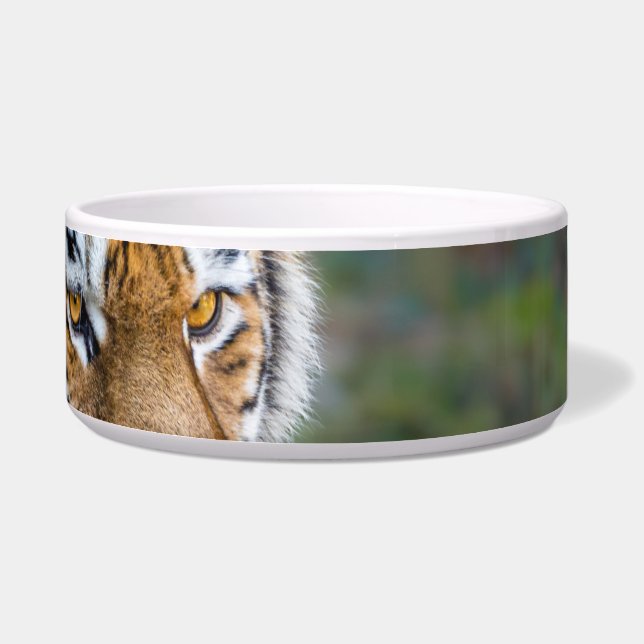 Comedero tigre de Amur (Derecha)