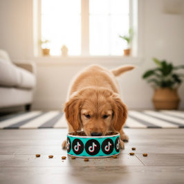 Comedero TikTok Bowl